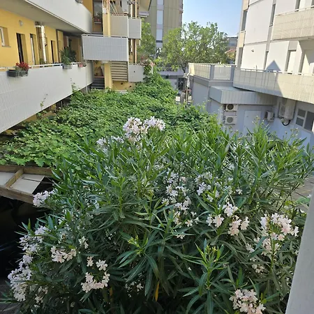 Apartamento Nerina